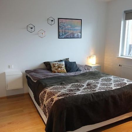 Beautiful Flat In Downtown Reykjavik With A Veiwアパートメント エクステリア 写真